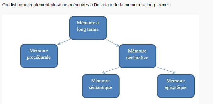 Description du lien entre chaque type de mémoire dans l'appréhension des fondamentaux en mathématiques.